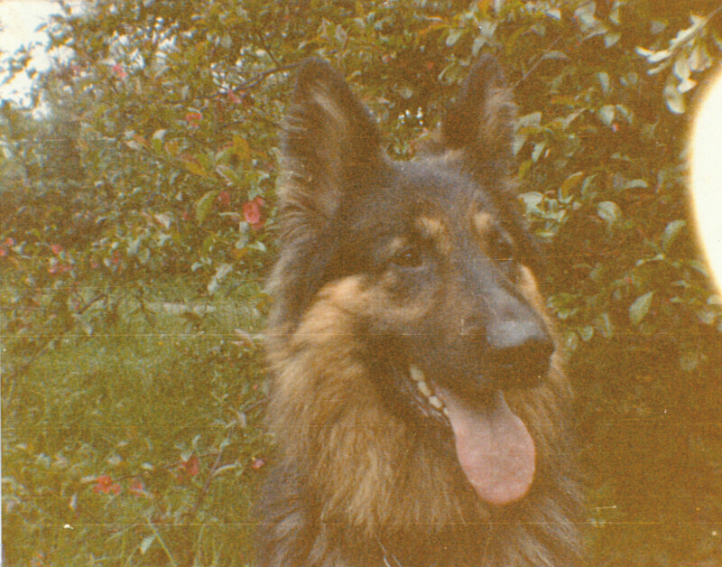 Ben